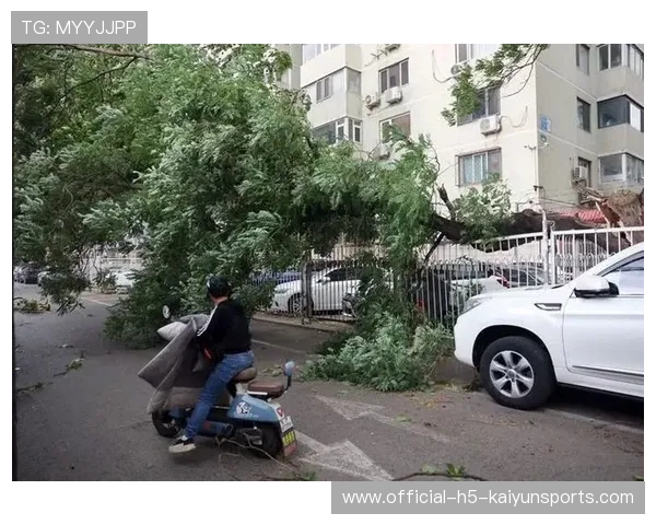 大风突袭，东莞工人高空作业安全获保障，高空作业大风几级停工